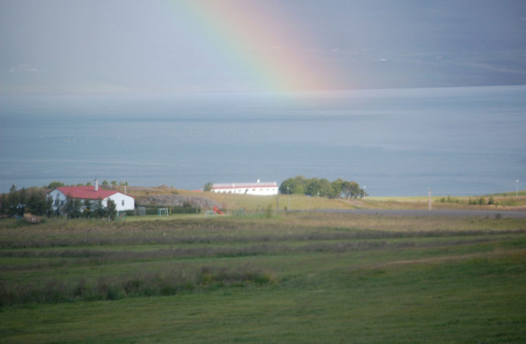 Pinellas Park: Is he really my true Valentine? Love and PTSD.