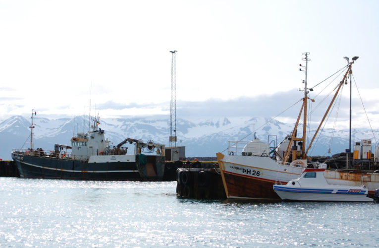 Pinellas Park: Woman/wife/mother: PTSD + suicidal thoughts