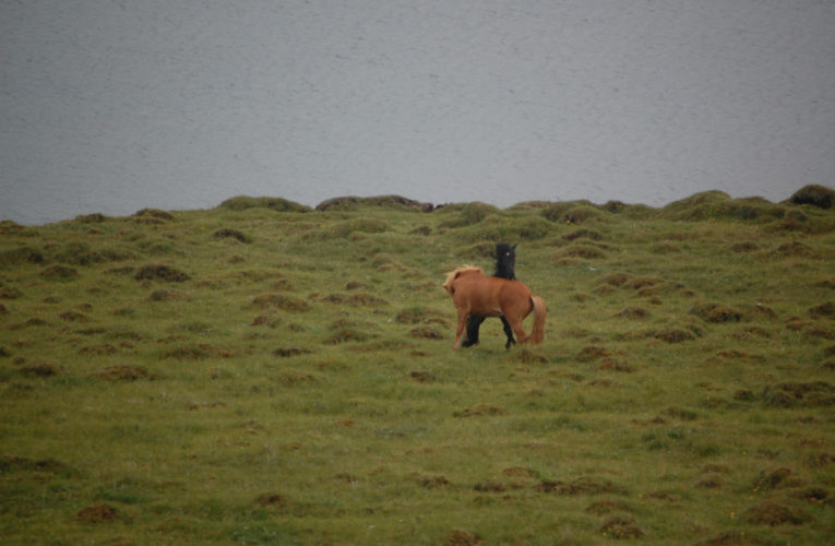 Pinellas Park: The Battle for Harmony When Living With PTSD