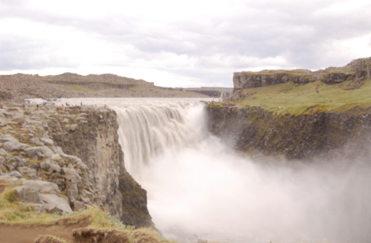 Pinellas Park: Help! I’m a lost little amoeba in this big PTSD ecosystem