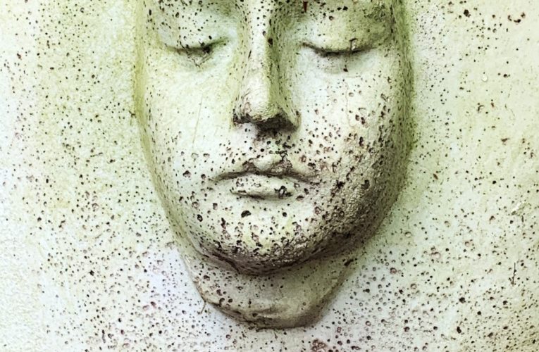 PTSD Book for Veterans and Trauma Sufferers in Pinellas Park