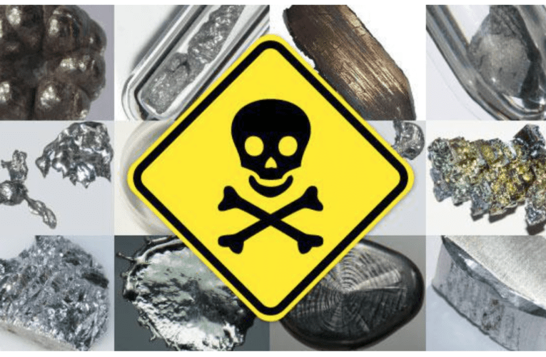 Take Control of Your Health at Home in Pinellas Park – Know how Heavy Metals Affect You